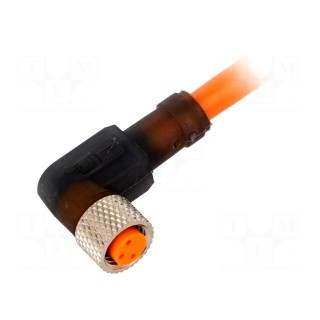 Connector: M8 | 2m | female | PIN: 3 | angled 90° | plug | PUR