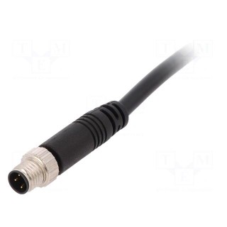 Connector: M8 | 2m | male | PIN: 3 | straight | plug | 3A | IP67 | 60V