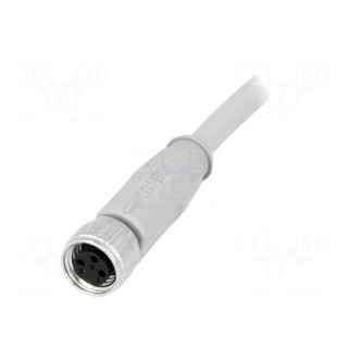 Connector: M8 | Len: 3m | female | PIN: 3 | straight | for cable | plug