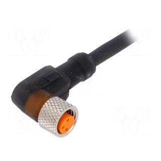 Connector: M8 | 5m | female | PIN: 3 | angled 90° | plug | PUR