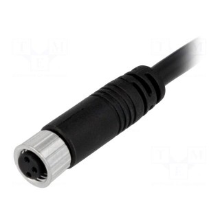 Connector: M8 | 5m | female | PIN: 3 | straight | plug | 3A | IP67 | 60V