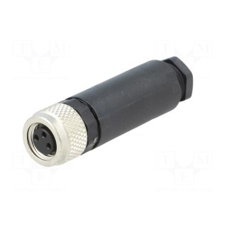 Connector: M8 | female | PIN: 3 | straight | for cable | plug | 4A | IP67