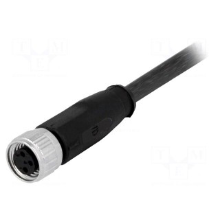 Connector: M8 | female | PIN: 3 | straight | with lead | plug | 0.5m | TPU