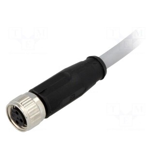 Connector: M8 | female | PIN: 3 | straight | with lead | plug | 1.5m | PVC