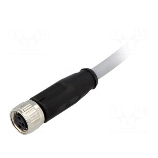 Connector: M8 | female | PIN: 3 | straight | with lead | plug | 2m | PVC