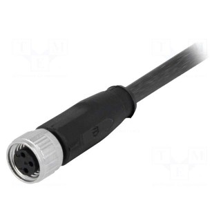 Connector: M8 | female | PIN: 3 | straight | with lead | plug | 1.5m | TPU