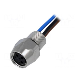Connector: M8 | female | PIN: 3 | straight | with lead | socket | 0.5m
