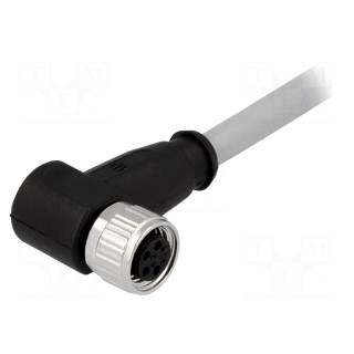 Connector: M8 | female | PIN: 4 | angled 90° | with lead | plug | 0.5m | PVC
