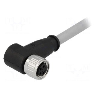 Connector: M8 | female | PIN: 4 | angled 90° | with lead | plug | 10m | PVC