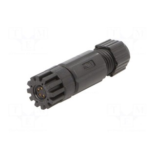 Connector: M8 | female | PIN: 4 | straight | for cable | plug | IP67
