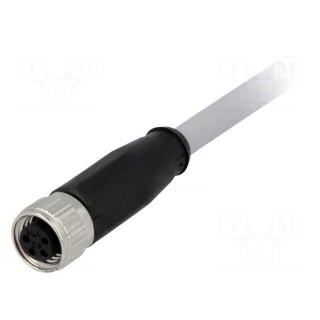 Connector: M8 | female | PIN: 4 | straight | with lead | plug | 1m | PVC