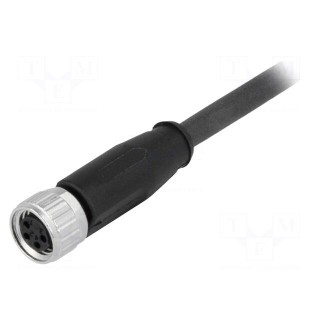 Connector: M8 | female | PIN: 4 | straight | with lead | plug | 5m | TPU