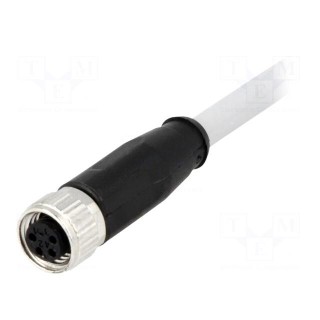 Connector: M8 | female | PIN: 4 | straight | with lead | plug | 2m | PVC
