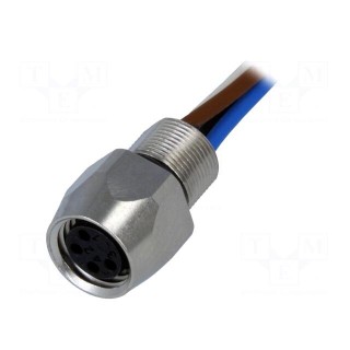 Connector: M8 | female | PIN: 4 | straight | with lead | socket | 0.5m