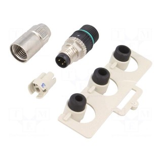 Connector: M8 | male | PIN: 3 | straight | for cable | plug | 4A | IP67 | 32V