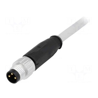 Connector: M8 | male | PIN: 3 | straight | with lead | plug | 1m | PVC