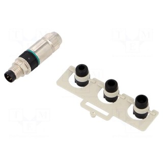 Connector: M8 | male | PIN: 4 | straight | for cable | plug | 4A | IP67 | 32V
