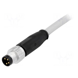 Connector: M8 | male | PIN: 4 | straight | with lead | plug | 0.5m | PVC