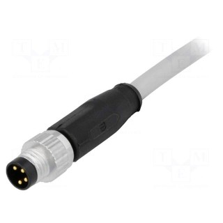 Connector: M8 | male | PIN: 4 | straight | with lead | plug | 1.5m | PVC