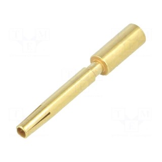 Contact | female | 1.5mm | gold-plated | 1.5mm2 | M12 Power | PE | crimped