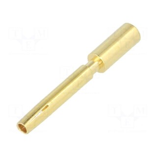 Contact | Size: 1,5mm | female | 2.5mm2 | M12 Power | gold-plated