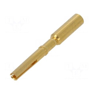 Contact | female | gold-plated | 1.5mm2 | crimped | for cable