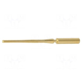 Contact | male | gold-plated | 0.08÷0.22mm2 | crimped | for cable
