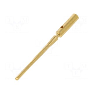 Contact | male | gold-plated | 0.13÷0.25mm2 | crimped | for cable