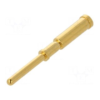 Contact | male | gold-plated | 0.5mm2 | crimped | M12 Power connectors