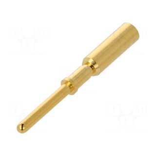 Contact | male | gold-plated | 2.5mm2 | grounding contact | crimped