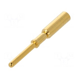 Contact | male | gold-plated | 2.5mm2 | crimped | M12 Power connectors