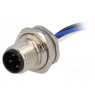 Socket | M12 | PIN: 4 | male | A code-DeviceNet / CANopen | cables | IP67
