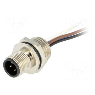Socket | M12 | PIN: 4 | male | A code-DeviceNet / CANopen | cables | IP67