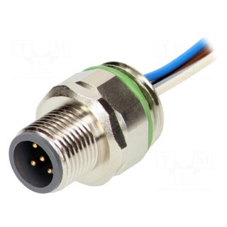 Socket | M12 | PIN: 5 | male | A code-DeviceNet / CANopen | cables | 0.5m