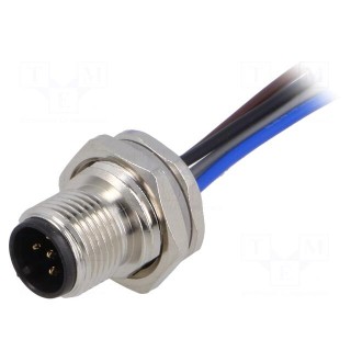 Socket | M12 | PIN: 5 | male | A code-DeviceNet / CANopen | cables | IP67