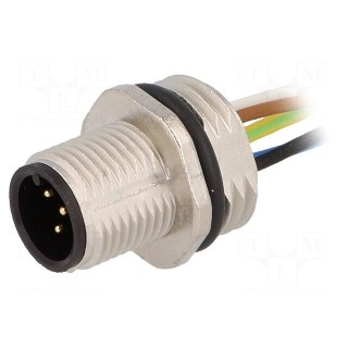 Socket | M12 | PIN: 5 | male | A code-DeviceNet / CANopen | cables | IP68