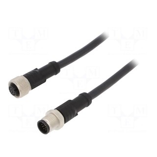 Cable: for sensors/automation | PIN: 12 | M12-M12 | 1m | plug | plug