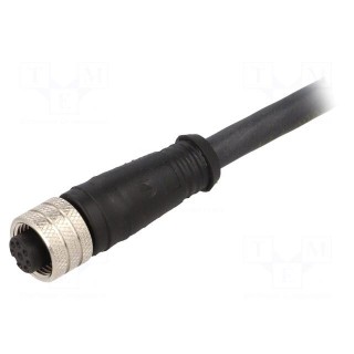 Cable: for sensors/automation | PIN: 8 | M12-M12 | 5m | plug | plug | male