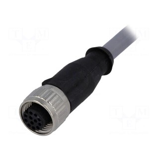 Plug | M12 | PIN: 12 | female | A code-DeviceNet / CANopen | 1m | cables