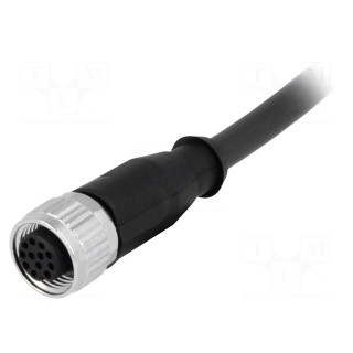 Plug | M12 | PIN: 12 | female | A code-DeviceNet / CANopen | 2m | cables