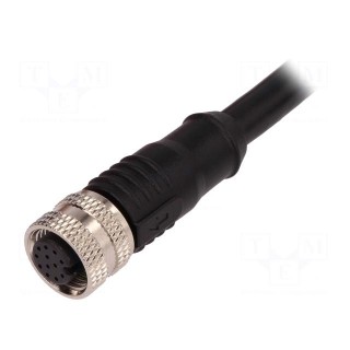 Plug | M12 | PIN: 12 | female | A code-DeviceNet / CANopen | IP67 | 30V