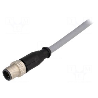 Plug | M12 | PIN: 12 | male | A code-DeviceNet / CANopen | 2m | straight