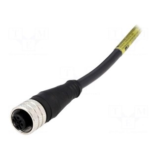 Plug | M12 | PIN: 4 | female | A code-DeviceNet / CANopen | 10m | IP67