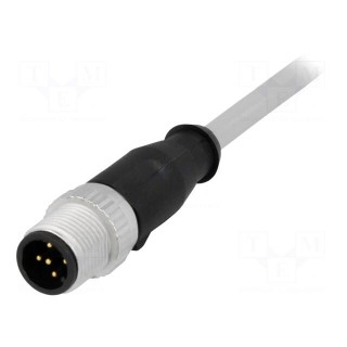 Plug | M12 | PIN: 5 | male | A code-DeviceNet / CANopen | 5m | straight