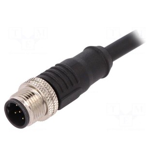 Plug | M12 | PIN: 5 | male | B code-Profibus | IP67 | 60V | 4A | straight