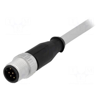 Plug | M12 | PIN: 8 | male | A code-DeviceNet / CANopen | 1m | straight