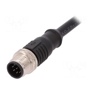 Plug | M12 | PIN: 8 | male | A code-DeviceNet / CANopen | IP67 | 30V | 2A