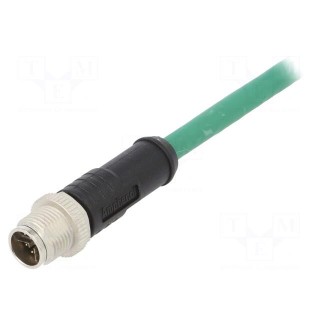 Plug | M12 | PIN: 8 | male | X code-ProfiNET | 2m | IP67 | 50V | 500mA | cables