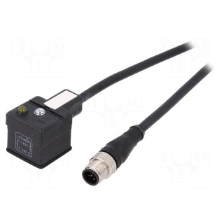Adapter cable | M12 male,DIN 43650 plug | PIN: 3 | IP67 | 2m