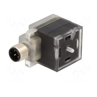 Adapter | DIN 43650 plug,M12 male | PIN: 3 | angled 90° | form A